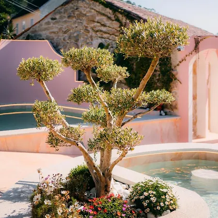 酒店 Aldea Calma 4*