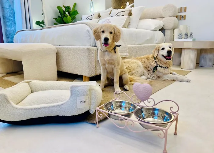 Aldea Calma מלון